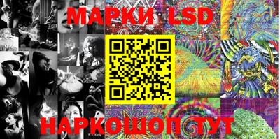 мяу мяу мука Будённовск