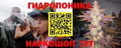 мяу мяу мука Будённовск