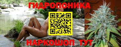 сатива Бузулук