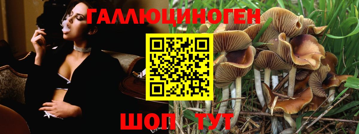 Тюмень  цены наркотик  Вход с VPN  Галлюциногенные грибы мицелий  Псилоцибиновые грибы MAGIC MUSHROOMS 